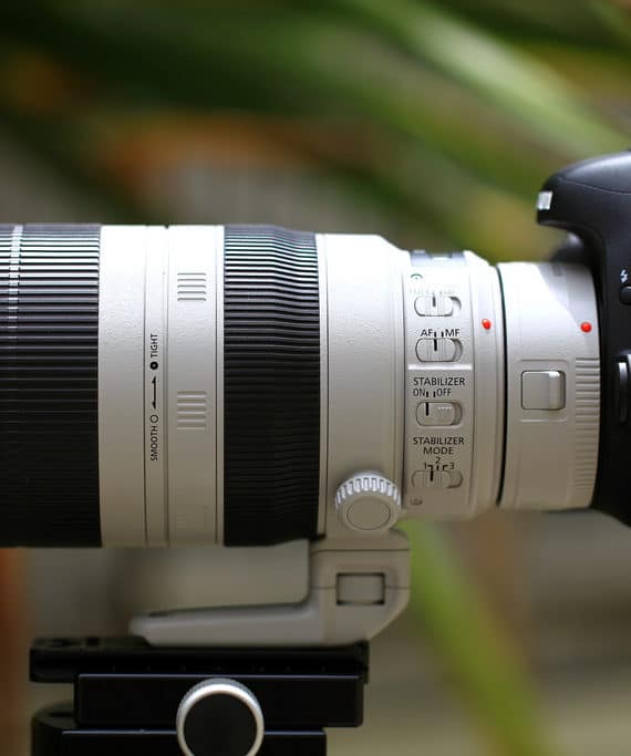 Canon 100-400 mm_3