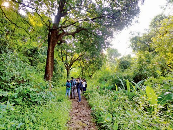 Complete Guide to Sanjay Gandhi National Park