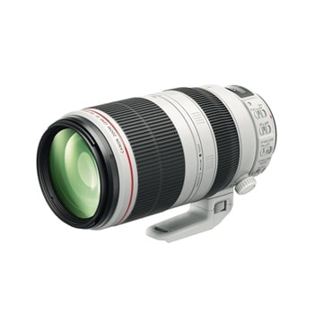 Canon 100-400mm F4.5-5 Canon 100-400mm F4.5-5.6 L series IS lens